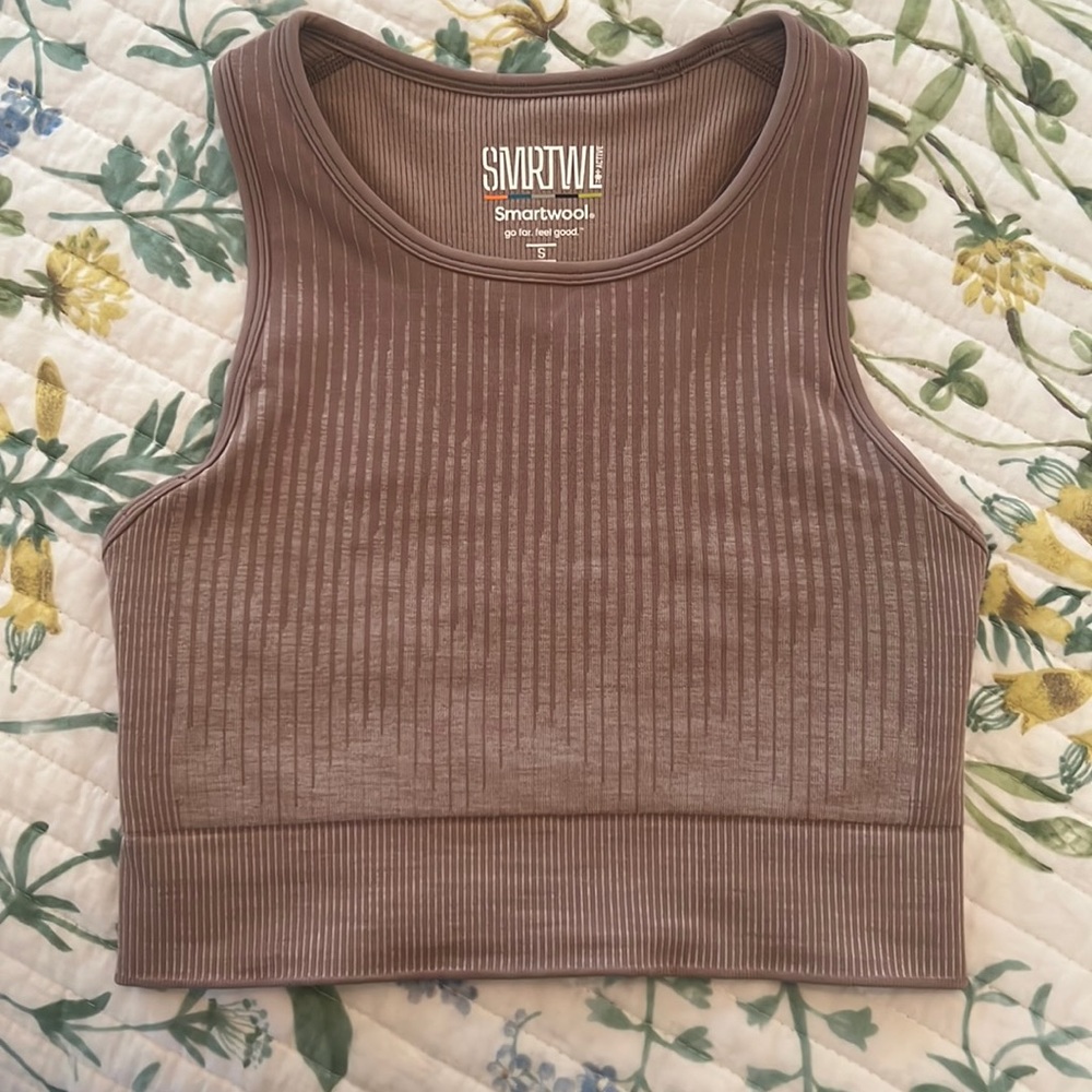 Smart Wool Intraknit Crop Bra